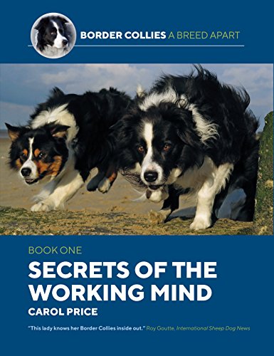 Book cover featuring three running Border Collies, titled "Secrets Of The Working Mind.