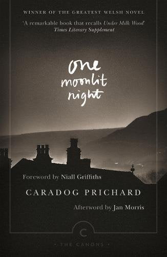 Book cover for One Moonlit Night by Caradog Prichard featuring a dark, moonlit landscape.