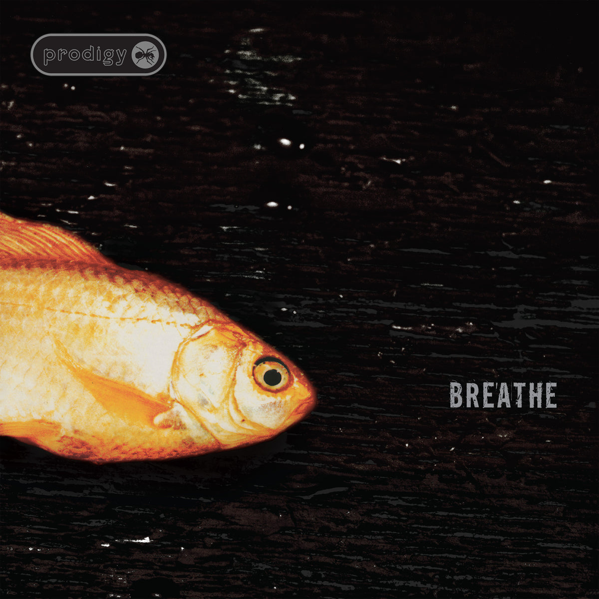 Album cover for The Prodigy’s “Breathe” featuring a goldfish in water.