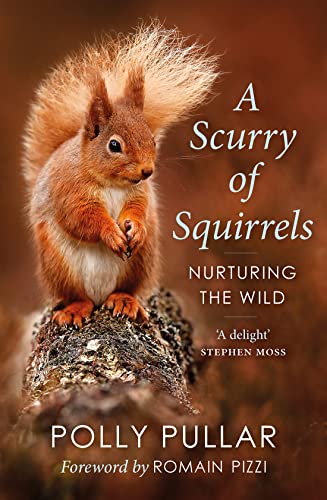 Red squirrel on a mossy branch, book cover titled “A Scurry of Squirrels.”
