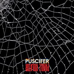 Puscifer’s “Parole Violator” vinyl album cover: cracked surface with red text.