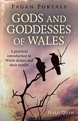 Book cover: “Gods and Goddesses of Wales” with ravens on a branch.