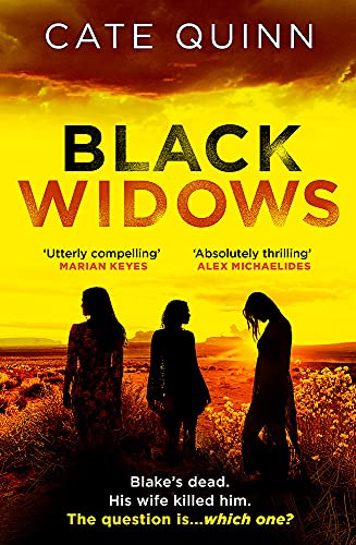Book cover: three silhouetted women against a golden, desert sunset.