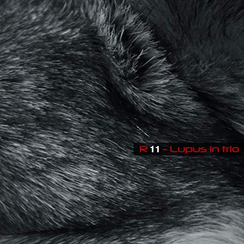 CD cover with dark, textured fur and red text: "R11 - Lupus In trio".