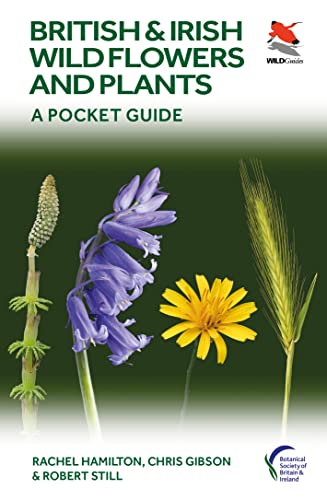 Four wildflowers and plants against a green background on a book cover.