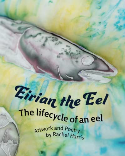 Book cover depicting a watercolor painting of an eel, titled "Eirian the Eel".