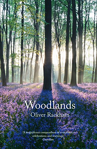 Book cover showing a sunlit forest floor covered in purple bluebells with tall trees.