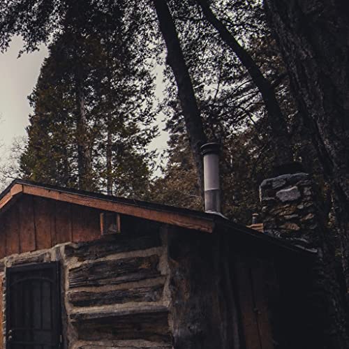 Rustic cabin with stone chimney nestled amongst dark evergreen trees.