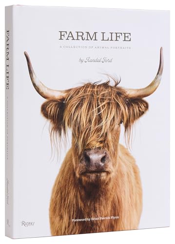 Book cover featuring a close-up portrait of a Highland cow with long horns.