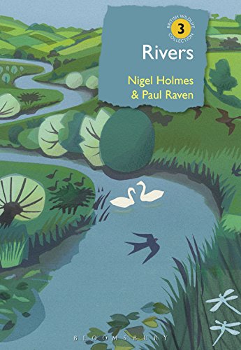 Book cover illustration of a winding river through a green landscape with swans.