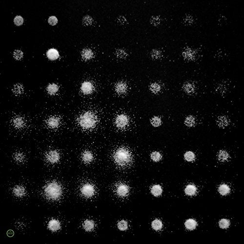 Black background with a grid of small, blurred white circular shapes.
