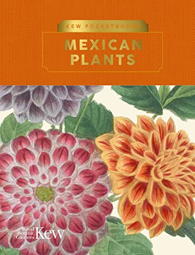 Book cover featuring illustrated pink and orange Mexican plants.