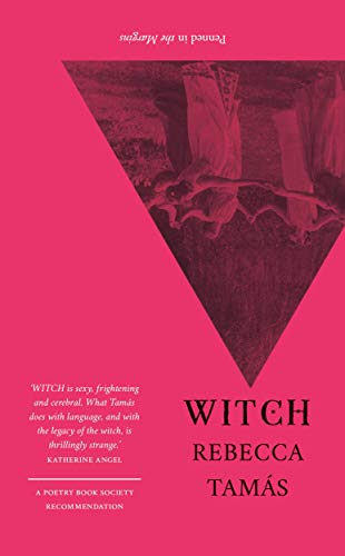 Book cover with a hot pink background, a dark inverted triangle, and text.