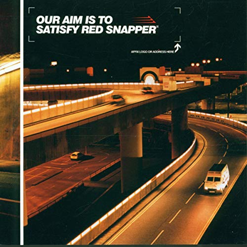 CD cover with highway overpass at night, text “Our Aim Is To Snapper.”