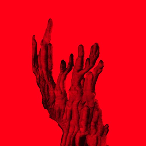 Dark red, textured, coral-like organic form centered against a vibrant solid red background.