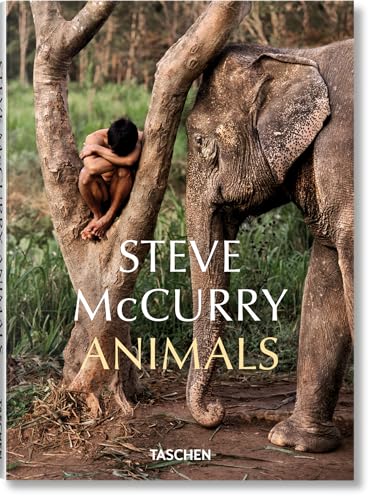 Book cover: child embracing a tree with an elephant nearby.