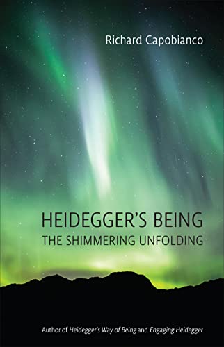 Book cover with green and white aurora borealis over silhouetted mountains.