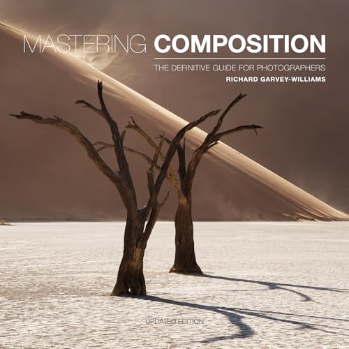 Book cover with desert landscape and title “Mastering Composition.”