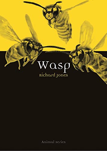 Book cover featuring a close-up of three wasps in flight.