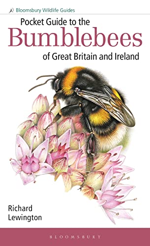 Book cover featuring a detailed illustration of a bumblebee on pink flowers.