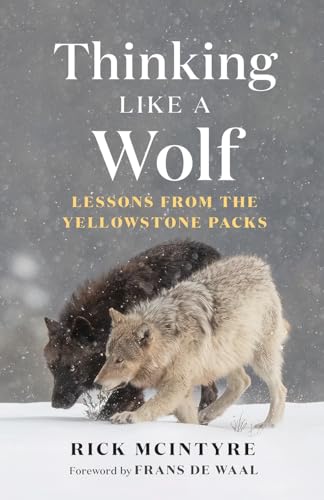 Book cover: “Thinking Like a Wolf” with two wolves in snow.
