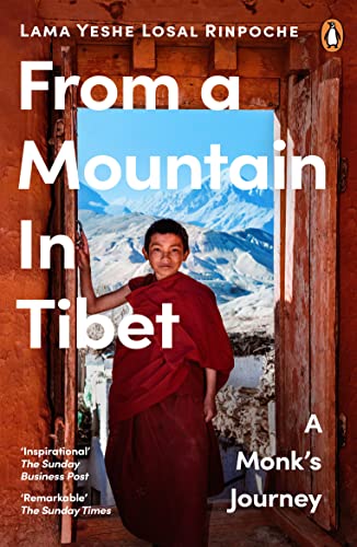A young monk in red robes stands in a doorway overlooking snowy mountains.