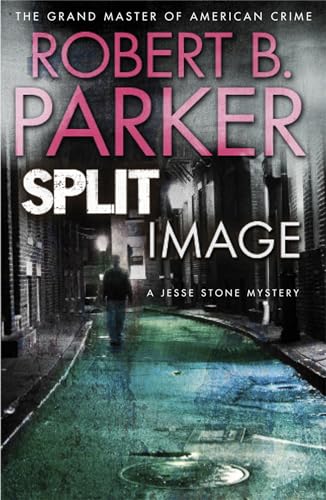 Book cover: wet city street, lone figure walking away, dark tones.