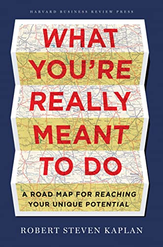 Book cover with red text on a map background, titled "What You're Really Meant to Do.
