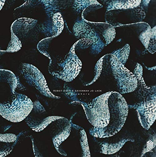 Vinyl record cover with abstract blue shapes on a dark background.