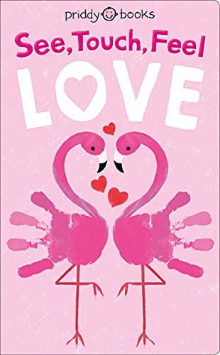 Book cover with pink flamingos forming a heart shape, text “See, Touch, Feel Love”.
