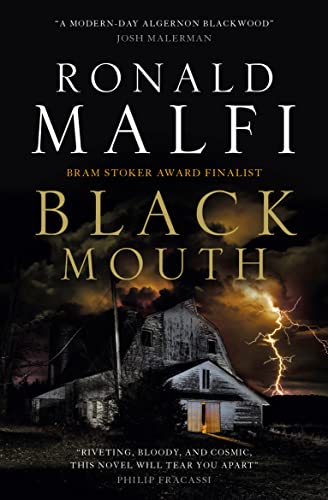 Book cover: dilapidated house during a stormy night, title "Black Mouth".