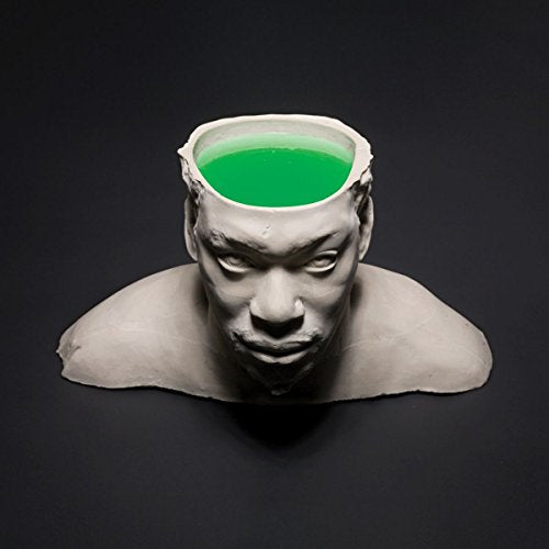 Sculptural head with a hollow, green-filled opening where the brain should be.
