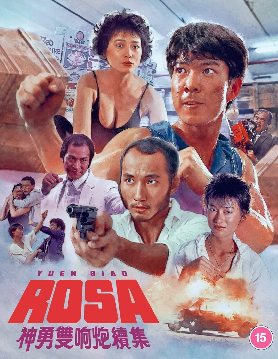 Movie poster for Rosa featuring several actors, a man with a gun, and explosions.