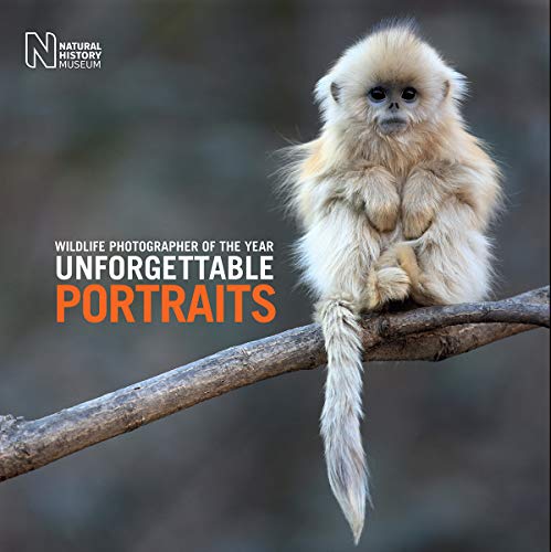 Golden snub-nosed monkey clinging to a branch, book cover image.