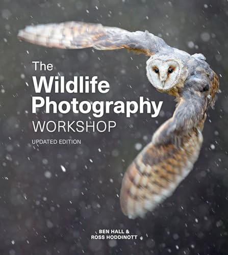 Book cover featuring a barn owl in flight against a snowy background.