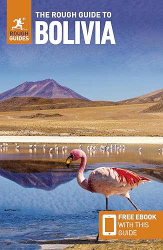 A flamingo stands in a shallow lake with mountains and a desert in the background.
