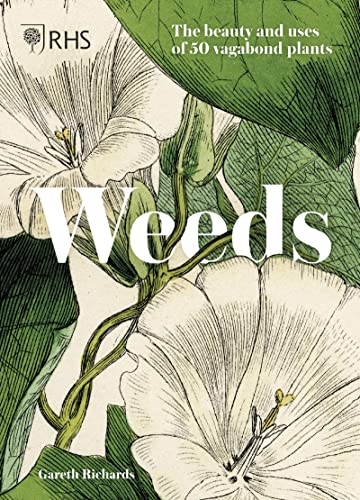 Book cover featuring botanical illustrations of white bindweed flowers and green leaves.