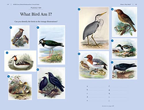 Page from RSPB bird puzzle book showing vintage bird illustrations.