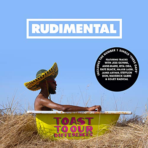 Album cover for Rudimental’s “Toast to Our Differences” featuring a man in a bathtub.