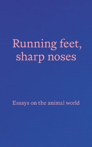 Book cover with pink title text on a dark blue background.