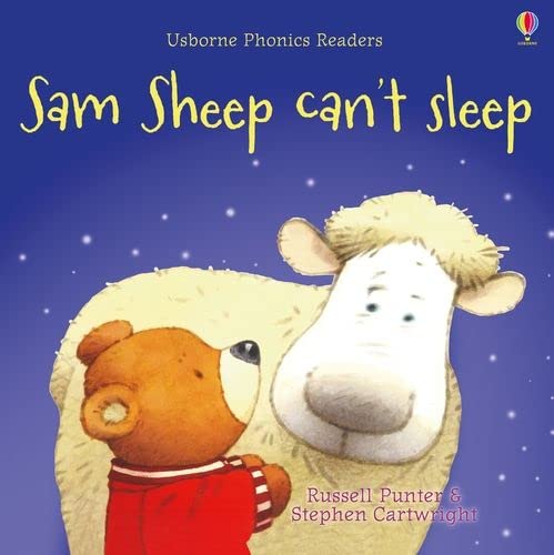 Book cover featuring a cartoon sheep and a teddy bear against a night sky.