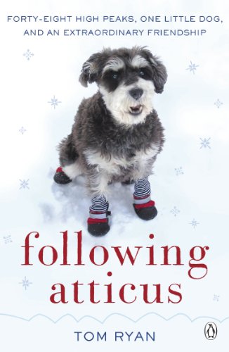 Small, fluffy dog wearing booties sits in the snow, book cover.