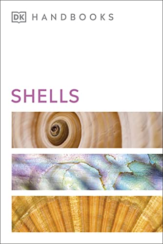 DK Handbooks Shells book cover featuring three horizontal close-up images of different seashell textures.