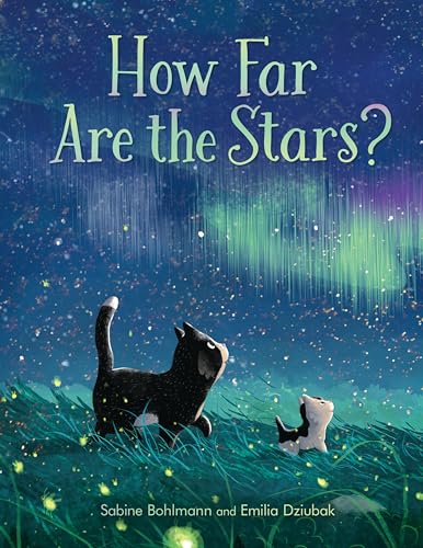 Book cover: two cats gazing at a starry night sky with aurora.