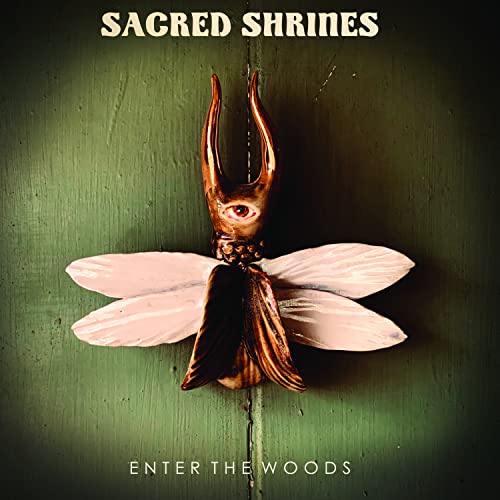 Album cover: insect-like creature with an eye on a green wooden background.