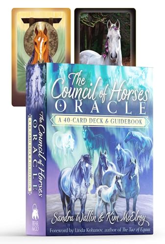 Oracle card deck and guidebook featuring horses, blue cover, white text.