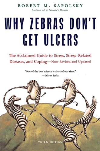 Book cover featuring title text and illustrations of zebras dancing on a grassy hill.
