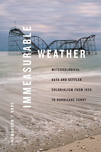 Book cover: damaged boardwalk with text “Immeasurable Weather” vertically.