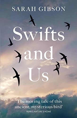 Book cover with silhouetted swifts flying against a cloudy, pale sky.