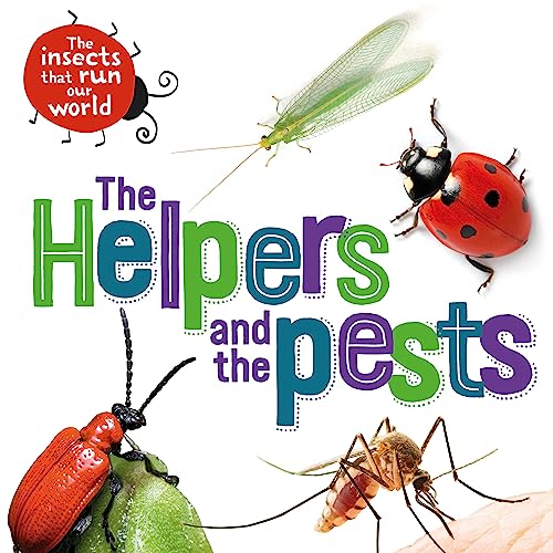 Book cover featuring a ladybug, green insect, and other bugs.